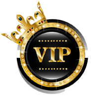 icon vip