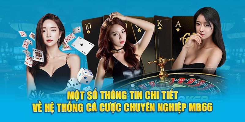 Một số thông tin chi tiết về hệ thống cá cược chuyên nghiệp MB66